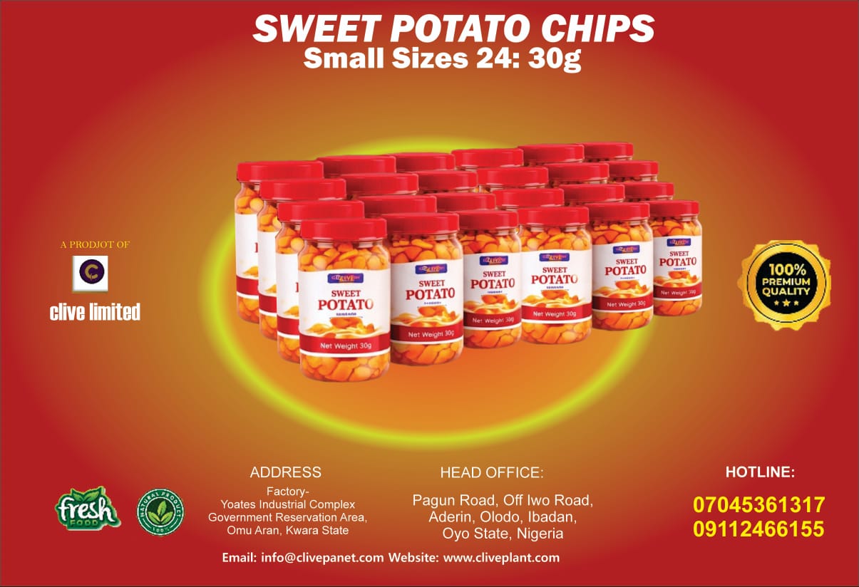 Sweet Potato Chips 4